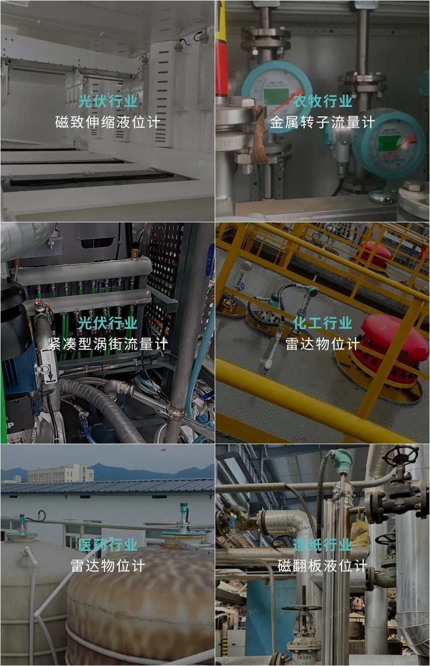 国家小巨人2.png